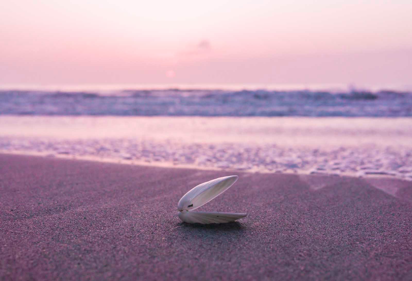 16 Best Beaches in Texas to Visit in 2023