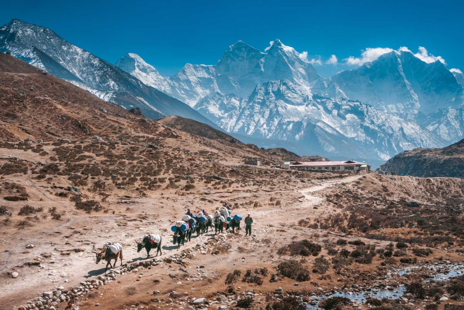 Everest Base Camp Trek – Ultimate Guide for 2023