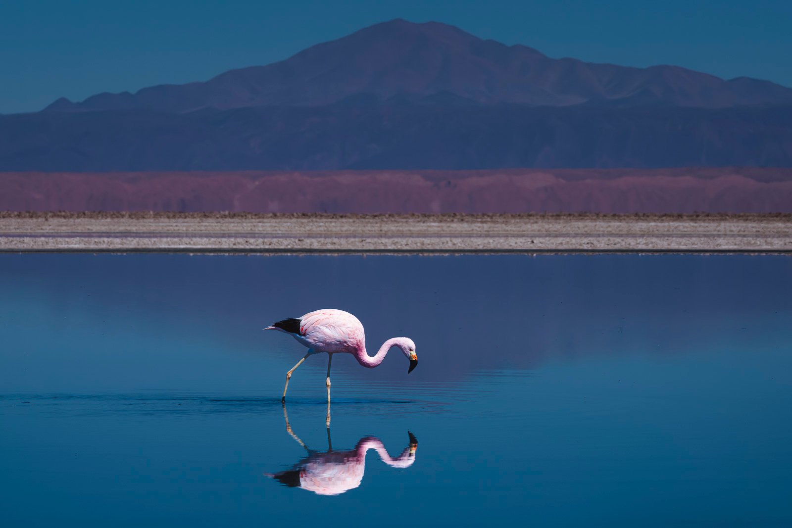 24 Fun and Interesting Facts About South America